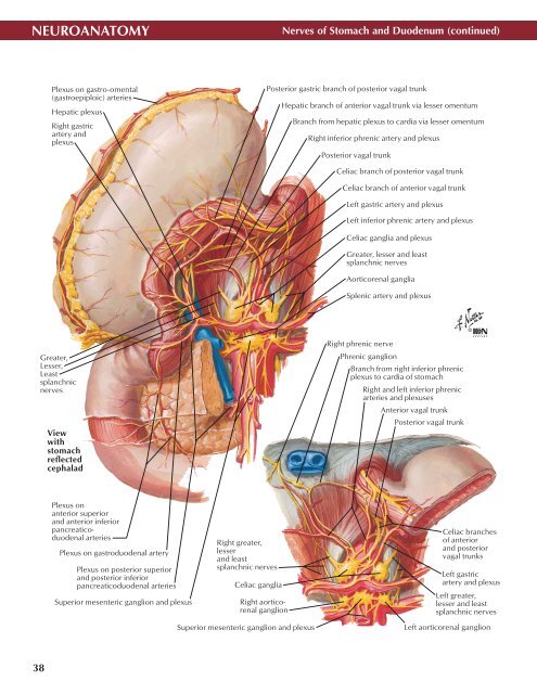 Neuro Atlas