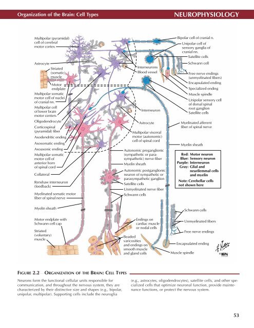 Neuro Atlas