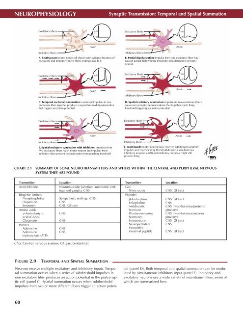 Neuro Atlas