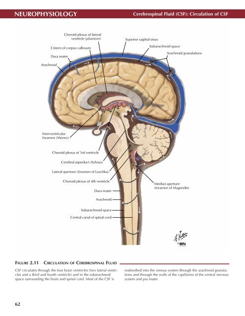 Neuro Atlas