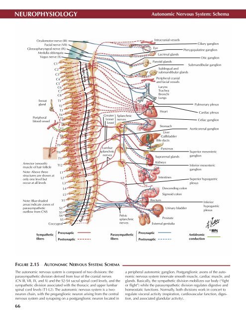 Neuro Atlas