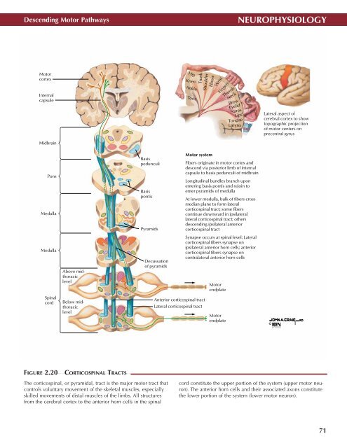 Neuro Atlas