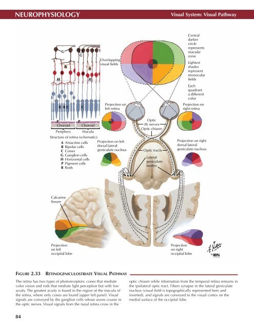 Neuro Atlas