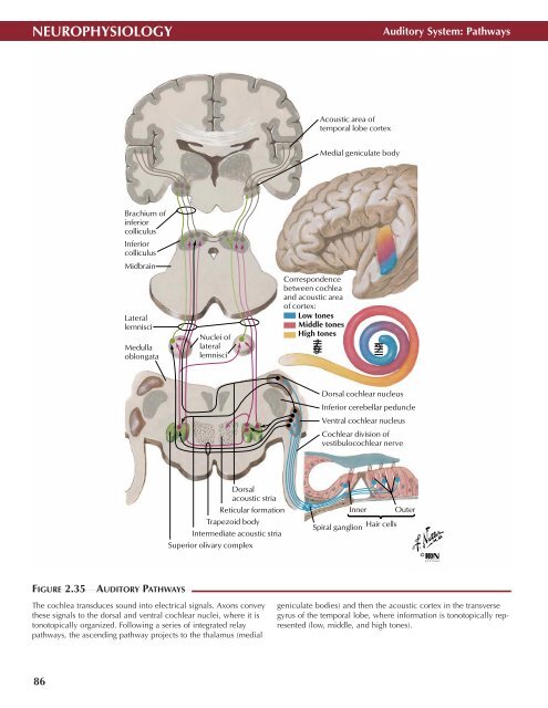 Neuro Atlas