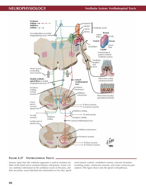 Neuro Atlas