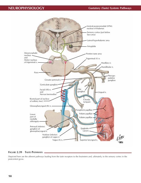 Neuro Atlas