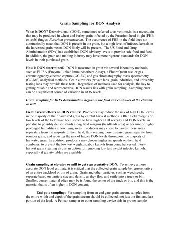 Grain Sampling for DON Analysis - U.S. Wheat and Barley Scab ...