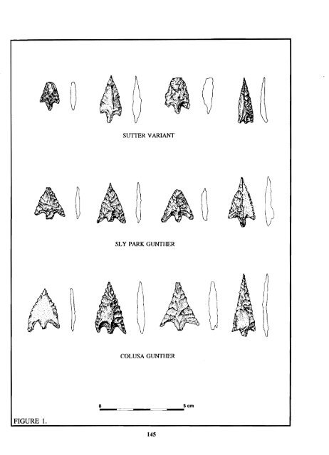 a statistical analysis of gunther series projectile - Society for ...