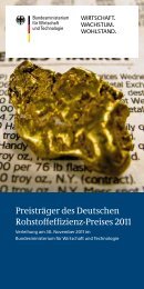 Preisträger des Deutschen Rohstoffeffizienz-Preises 2011 (PDF, 2