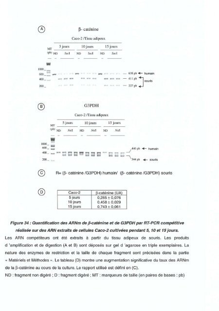 Ce document numérisé est le fruit d'un long travail approuvé par le ...