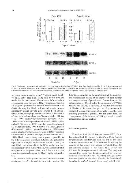 Ce document numérisé est le fruit d'un long travail approuvé par le ...