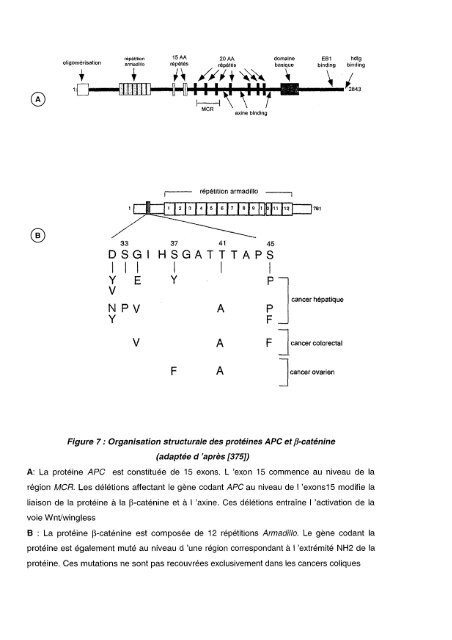 Ce document numérisé est le fruit d'un long travail approuvé par le ...