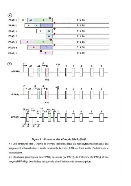 Ce document numérisé est le fruit d'un long travail approuvé par le ...