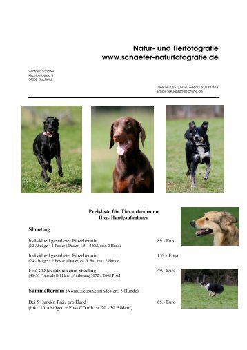 Preisliste Hundeshooting - Winfried SchÃ¤fer Natur- und Tierfotografie