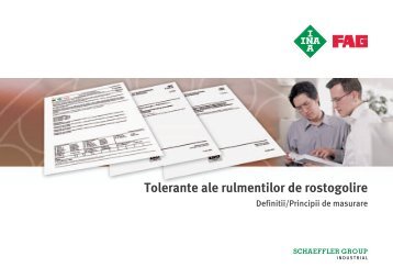 Tolerante ale rulmentilor de rostogolire: TPI
