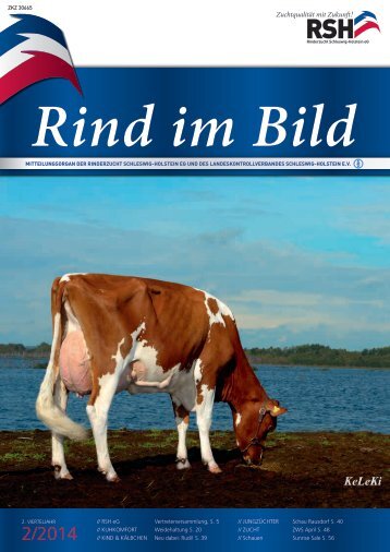 Rind im Bild