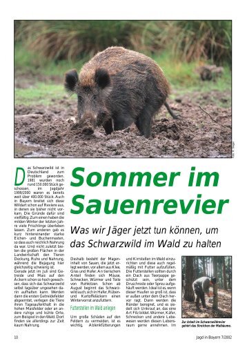 Sommer im Sauenrevier D Was wir Jäger jetzt tun können, um das ...