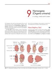 Harnorgane (Organa urinaria) - Schattauer