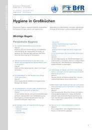 Hygiene in GroÃƒÂŸkÃƒÂ¼chen - Gesundheitsamt Bremen