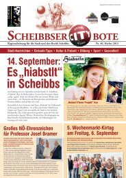 SCHEIBBSER BOTE