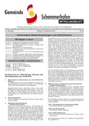 Mitteilungsblatt Nr.38 - Gemeinde Schemmerhofen