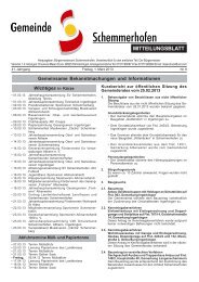 Mitteilungsblatt Nr.9 - Gemeinde Schemmerhofen