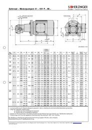 41-551 mit Motor - Scherzinger