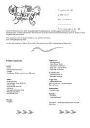 PDF-Ausgabe - Schlangengesang