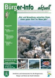 Ausgabe Januar 2009 - Stadt Schleiden