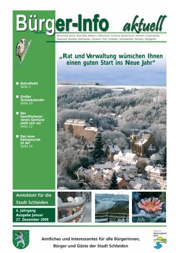 Ausgabe Januar 2009 - Stadt Schleiden