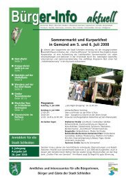 Ausgabe Juni 2008 - Stadt Schleiden