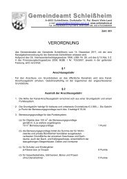 Datei herunterladen (31 KB) - .PDF - SchleiÃƒÂŸheim