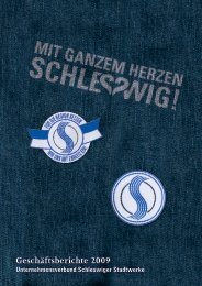 GeschÃƒÂ¤ftsberichte 2009 - Schleswiger Stadtwerke