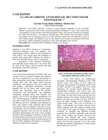 A case of chronic liver disease. HEV induced or cryptogenic?