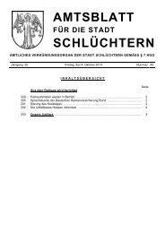 Amtsblatt Nr. 40 vom 04. Oktober 2013 - Stadt Schlüchtern