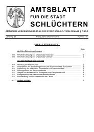 Amtsblatt Nr. 49 vom 06. Dezember 2013 - Stadt Schlüchtern