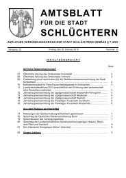 Amtsblatt Nr. 8 vom 26. Februar 2010 - Stadt SchlÃƒÂ¼chtern