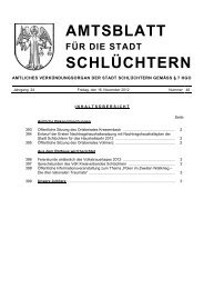 Amtsblatt Nr. 46 vom 16. November 2012 - Stadt SchlÃƒÂ¼chtern