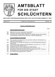 Amtsblatt Nr. 44 vom 05. November 2010 - Stadt SchlÃƒÂ¼chtern