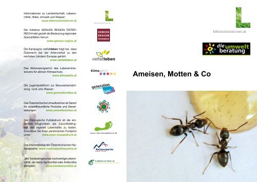 Ameisen Motten Co Umweltberatung