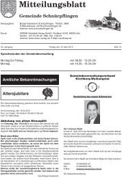 Mitteilungsblatt Nr. 15 vom 12.04.2013 - Gemeinde SchnÃƒÂ¼rpflingen