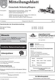 Mitteilungsblatt Nr. 12 vom 22.03.2013 - SchnÃƒÂ¼rpflingen