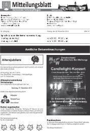 Mitteilungsblatt Nr. 47 vom 22.11.2013 - Schnürpflingen