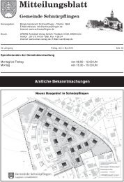 Mitteilungsblatt Nr. 18 vom 03.05.2013 - Gemeinde SchnÃƒÂ¼rpflingen