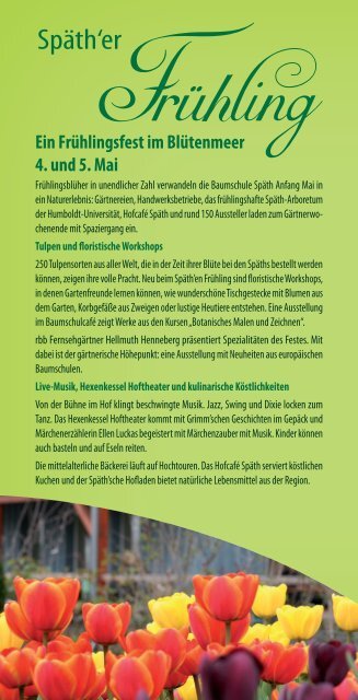 kult_05_bs.pdf - Schock Verlag