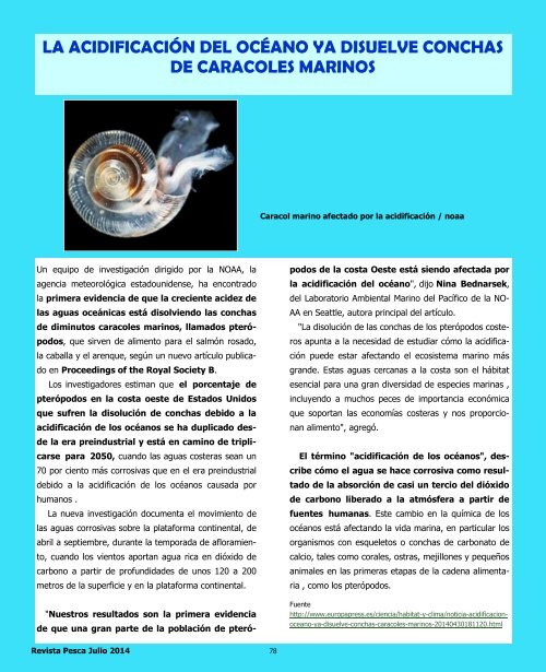 REVISTA PESCA JULIO 2014