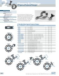 CF Special Flanges - Schoonover, Inc.