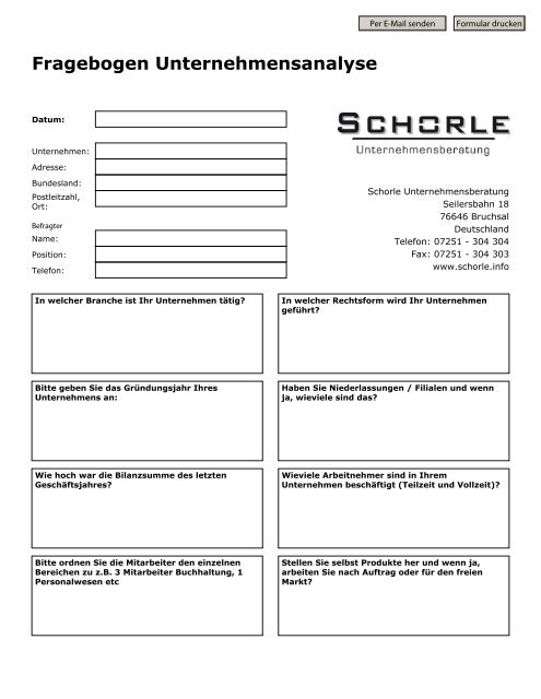 Fragebogen U-Analyse - Schorle Unternehmensberatung