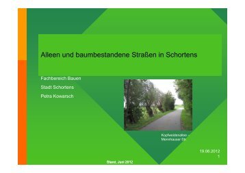 Alleen und baumbestandene StraÃŸen in Schortens ...