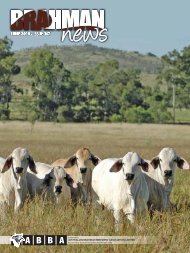 DOWNLOAD PDF 5.2mb - Australian Brahman Breeders Association